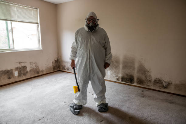 Best Toxic Mold Removal  in Pasadena, TX